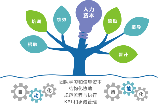 人力資源管理係統