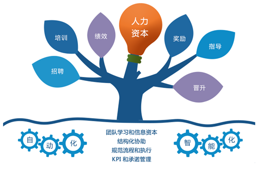 人力資源管理係統