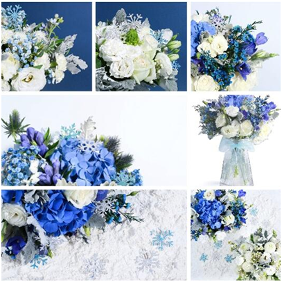 企業(ye) 管理係統