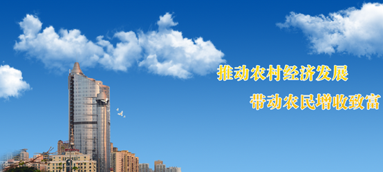 集中采購管理係統