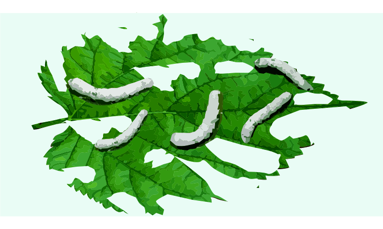 qmchashi 工時表有助於(yu) 防止蠶食工作時間和成本。